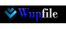 wupfile.com 180天高级会员