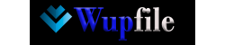 Wupfile.com 30天高级会员