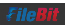 Filebit  premium 30天云软件高级权限50g/天
