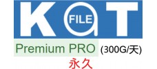 katfile 永久 LifeTime premium pro 高级会员300G/天